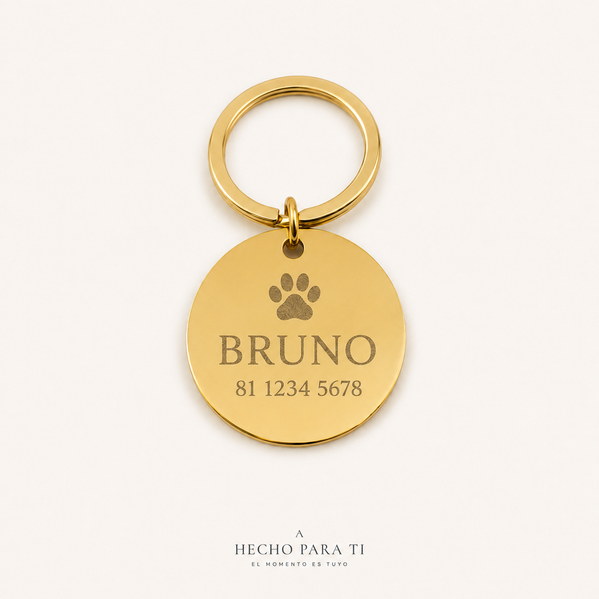Placa Nombre Mascotas